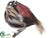 Bird - Brown - Pack of 24