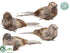 Silk Plants Direct Bird - Gray Brown - Pack of 4