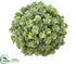 Silk Plants Direct Iced Sedum Orb - Green Ice - Pack of 6