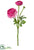 Ranuculus Spray - Cerise - Pack of 12