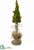 Christmas Tree With Berry - Green Red - Pack of 6