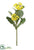 Cabbage Flower Spray - Yellow - Pack of 24