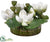 Silk Plants Direct Lotus Flowers - Green White - Pack of 1