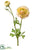 Silk Plants Direct Ranunculus Spray - Yellow Pink - Pack of 12