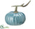 Pumpkin - Blue - Pack of 6