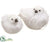 Silk Plants Direct Bird - White Glittered - Pack of 3