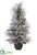 Snow Flocked Pine w/Cone, Leaf Tree - Snow - Pack of 2