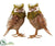 Silk Plants Direct Owl - Green Brown - Pack of 2