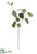 Eucalyptus Leaf Spray - Green - Pack of 12