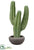 Silk Plants Direct Column Cactus - Green - Pack of 1