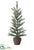 Silk Plants Direct Noble Pine Tree - Green - Pack of 4