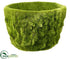 Silk Plants Direct Moss Container - Green - Pack of 4