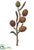 Raffia Fruit Pick - Brown Green - Pack of 12