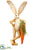 Silk Plants Direct Bunny - Beige Orange - Pack of 6