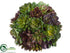 Silk Plants Direct Succulent Ball - Green Burgundy - Pack of 4