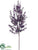 Sedum Stem - Purple - Pack of 6