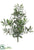 Olive Bush - Green Frosted - Pack of 12