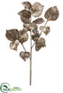 Silk Plants Direct Coleus Leaf Spray - Silver Antique - Pack of 6