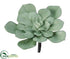 Silk Plants Direct Echeveria Pick - Green Light - Pack of 6