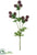 Globe Thistle Spray - Burgundy - Pack of 12