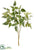 Clematis Leaf Spray - Green Gray - Pack of 12