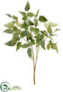 Silk Plants Direct Clematis Leaf Spray - Green Gray - Pack of 12