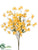 Bellflower Bush - Yellow - Pack of 12