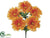 Gerbera Daisy Bush - Orange - Pack of 24