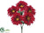 Gerbera Daisy Bush - Red - Pack of 24