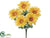 Gerbera Daisy Bush - Yellow Gold - Pack of 24