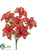 Tiger Lily Bush - Flame - Pack of 24