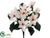 Magnolia Bush - Blush - Pack of 12