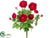 Ranunculus Bush - Tea Berry - Pack of 6