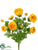 Ranunculus Bush - Yellow - Pack of 6