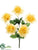 Rose Bush - Yellow - Pack of 24