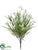 Snowdrop Bush - White - Pack of 12