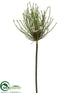 Silk Plants Direct Spider Allium Spray - Cream - Pack of 6