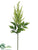 Astilbe Spray - Green White - Pack of 12