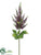 Astilbe Spray - Purple - Pack of 12