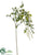 Amaranthus Hanging Spray - Cream - Pack of 12