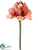 Amaryllis Spray - Terra Cotta - Pack of 12