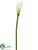 Calla Lily Spray - White - Pack of 12