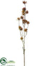 Silk Plants Direct Cypress Spray - Brown Green - Pack of 12