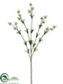 Silk Plants Direct Currant Spray - Ivory - Pack of 12