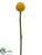 Billy Buttons Spray - Yellow - Pack of 12