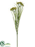 Silk Plants Direct Wild Dill Spray - Yellow - Pack of 24