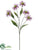 Silk Plants Direct Daisy Spray - White Lime - Pack of 12