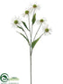 Silk Plants Direct Daisy Spray - White Lime - Pack of 12