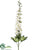 Delphinium Spray - Cream - Pack of 12