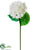 Hydrangea Spray - White - Pack of 12